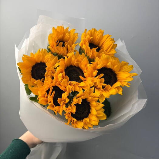 АКЦИЯ: 7 роскошных подсолнухов XL 🌻 в легкой упаковке | моно букет