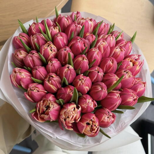 DOUBLE TULIP