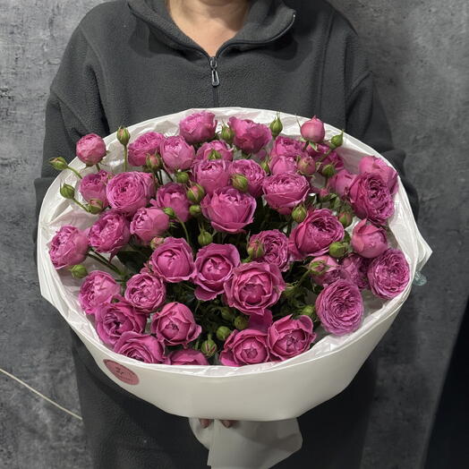 Мисти баблсссс