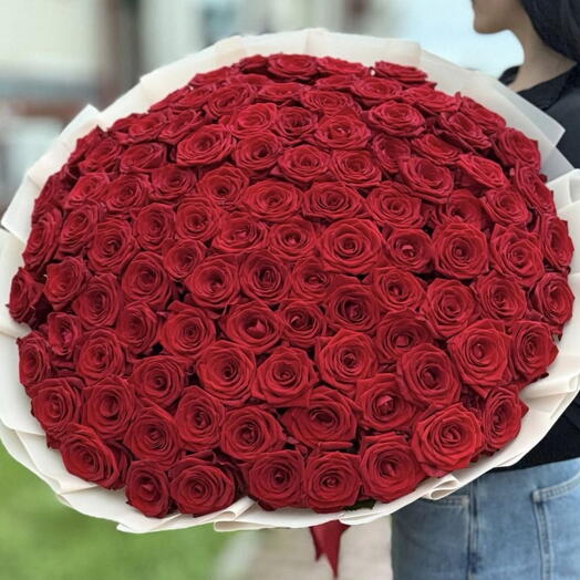 101 ароматная Роза 😍♥️