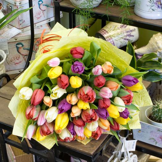 A bouquet of multicolored tulips (Tulip 51)