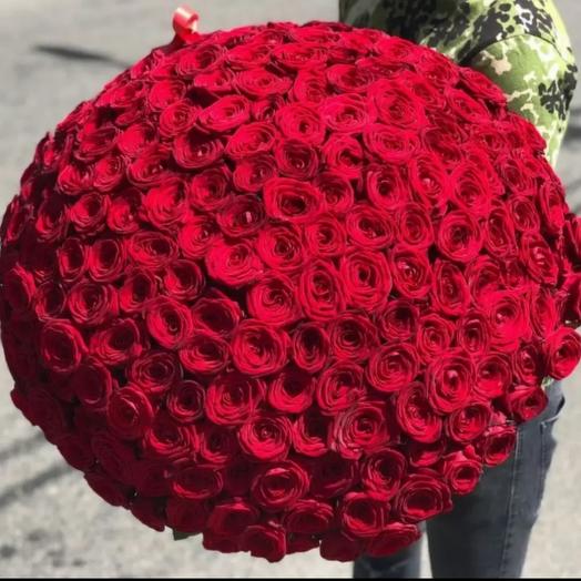 Bouquet of 201 red roses