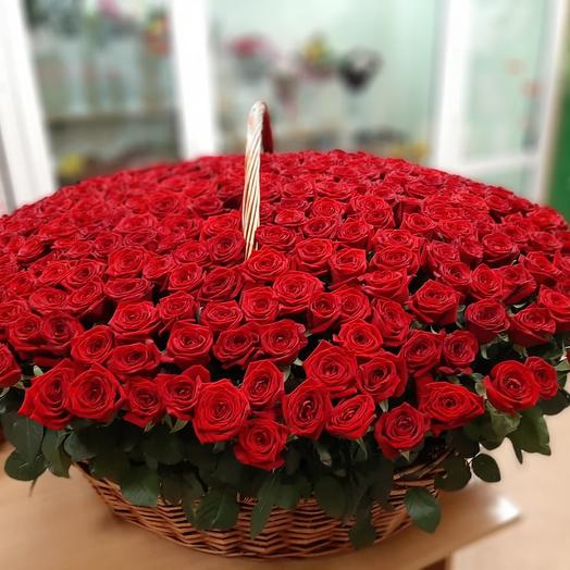 Роза 301 розовая роза