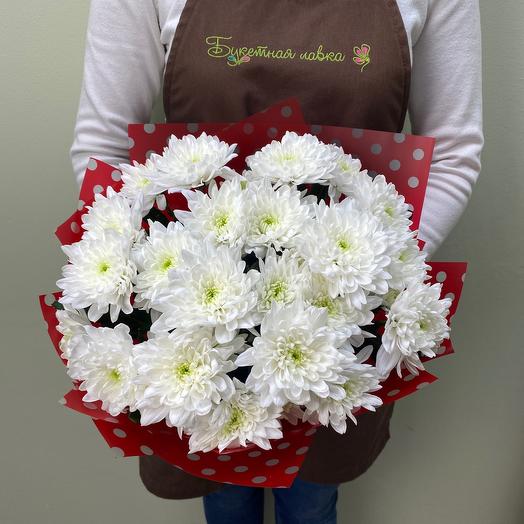 Bouquet of 5 chrysanthemums