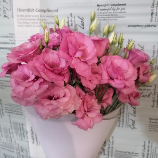 Paraíso rosa