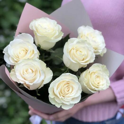 7 white roses Ecuador 50 cm in a package
