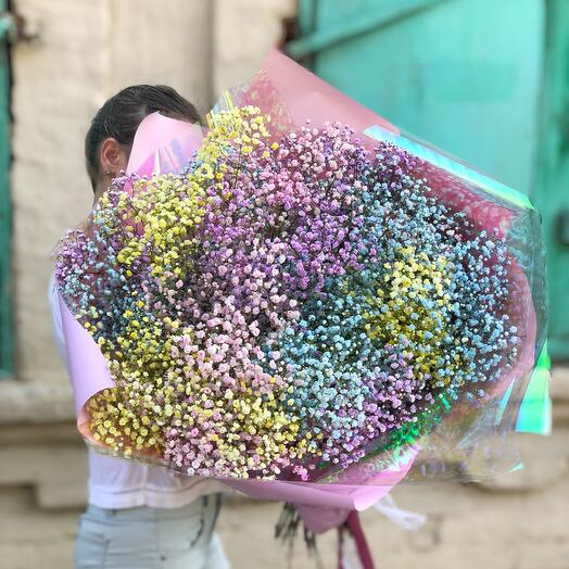 Радужная гипсофила
