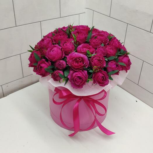 Peonía rosa arbusto prominente