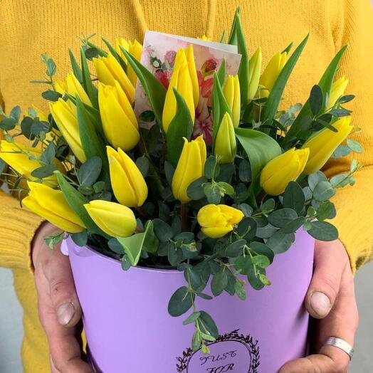 Волшебный сон