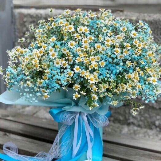Bouquet "Summer of daisies"
