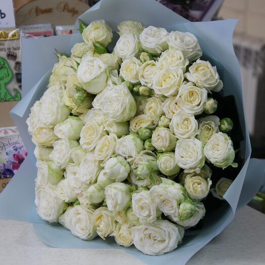 15 rosas de arbusto