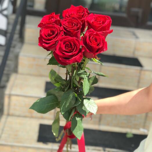7 red roses