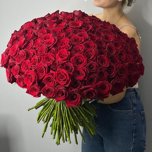 ✅Classic bouquet of 151 Dutch roses