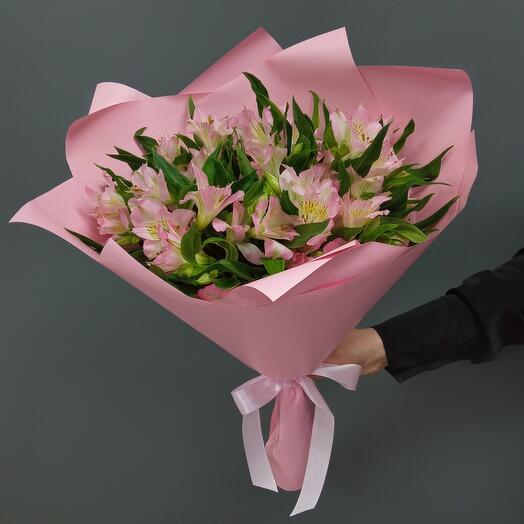 Pink alstroemeria