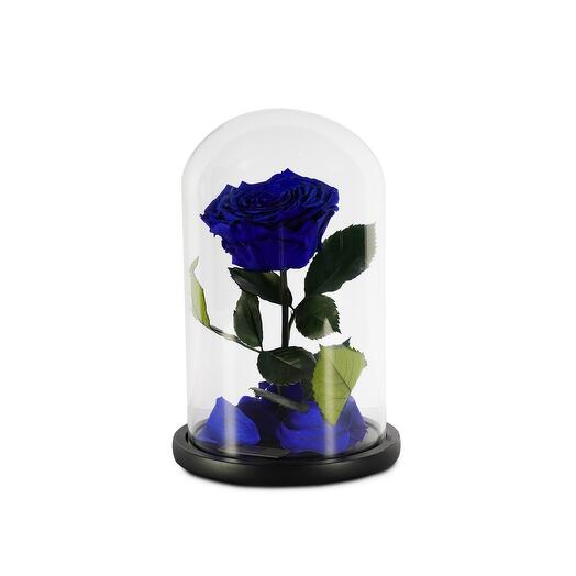 Royal Blue Preserved Roses in a Glass Dome Single
