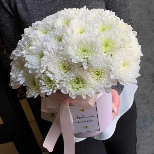 Delicate chrysanthemums