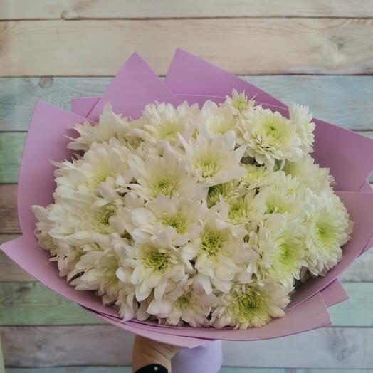 11 bush chrysanthemums