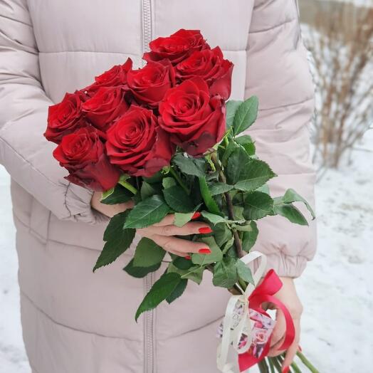 Rosas rojas 9 piezas