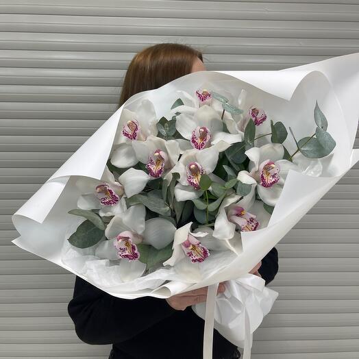 Orquídeas blancas 🤍