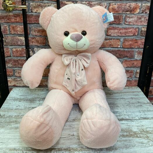 The bear is 80 cm