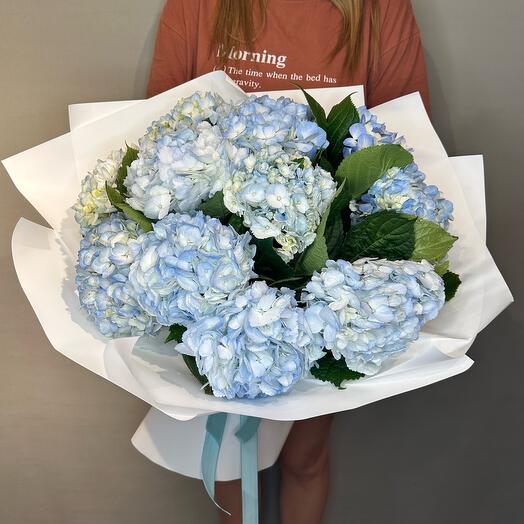 Bouquet of 11 sky-blue hydrangeas
