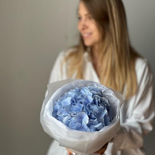 Monobucket of 1 hydrangea