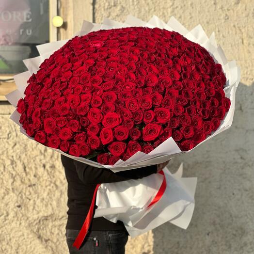 Bouquet of 201 roses