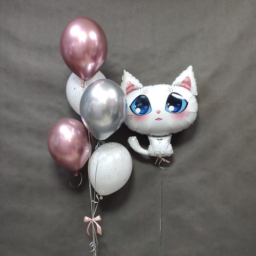 Bola de Gato y bolas
