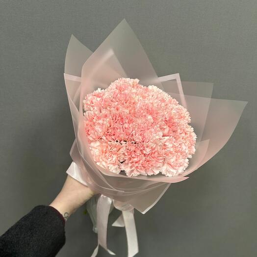 19 розовых диантусов