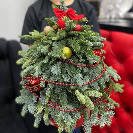 Елочка из нобилиса