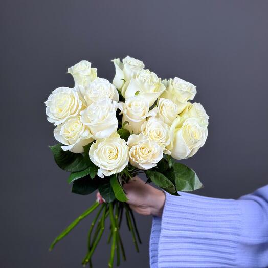 Роза Мондиаль 15