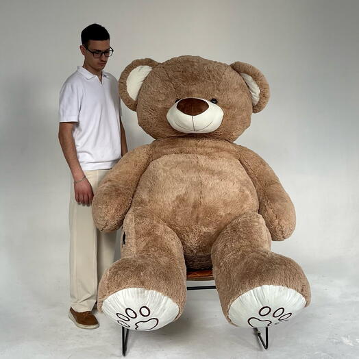 Teddy 2 метра