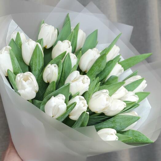 Tulipanes blancos 25 piezas