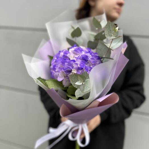Гортензия и эв