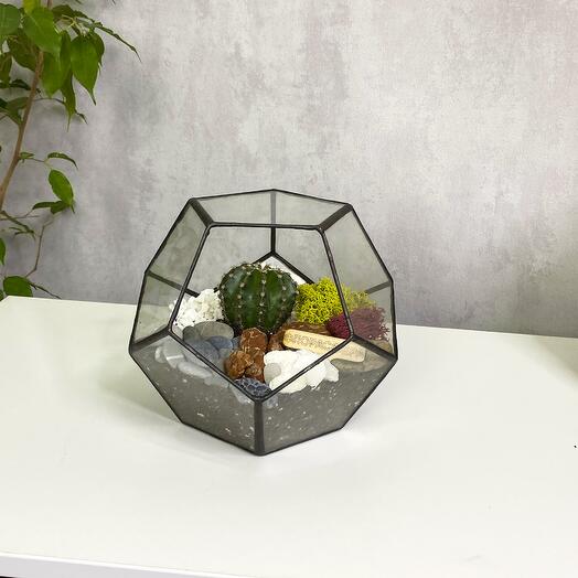 Кактус в флорариуме Шар S (Small, маленький)