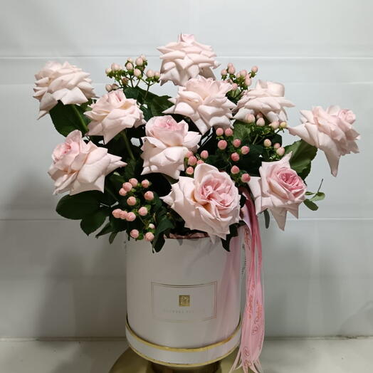 10 Pink Ohara Roses in Box