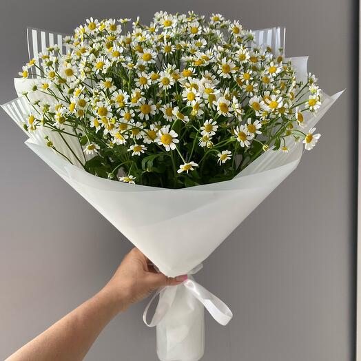 Chamomile Meadow bouquet of daisies (tanacetum)