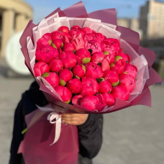 Пионы коралловые Отборные