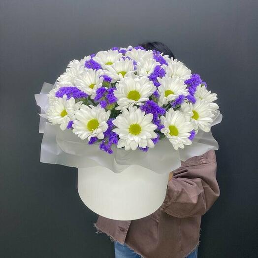 Ромашка в коробке