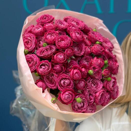 Rosa de arbusto de peonía, 15 piezas de peonías