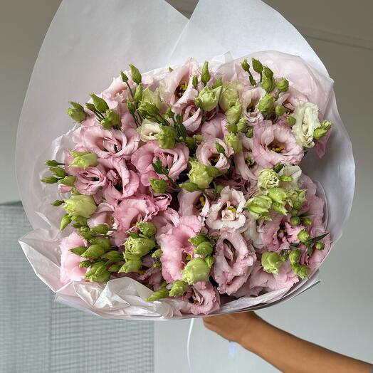 Lisianthus pink 15 stems