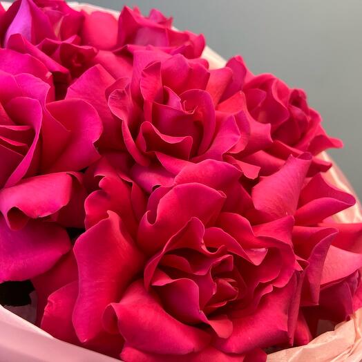 French rose (7)
