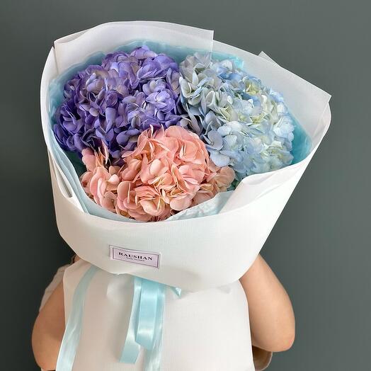 3 гортензии