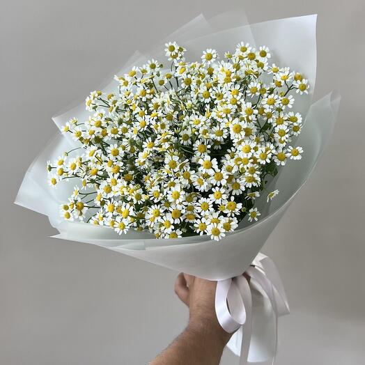 Монобукет из ромашки