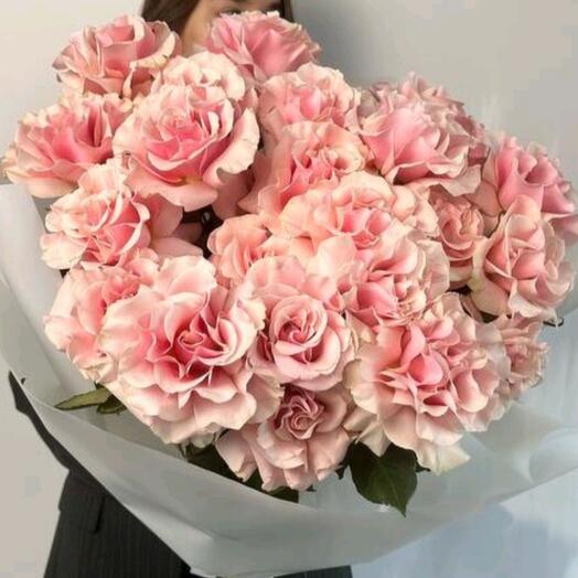 Monobook French rose pinkmondial ecuador