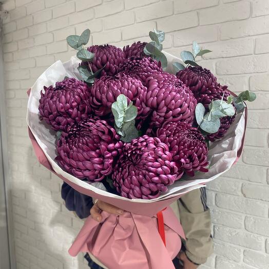 Хризантема Бигуди