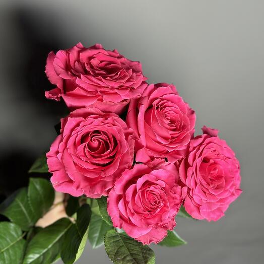 🌹 Роза   5 шт