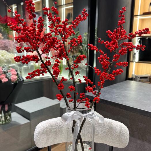 Ilex Red Premium 70 cm