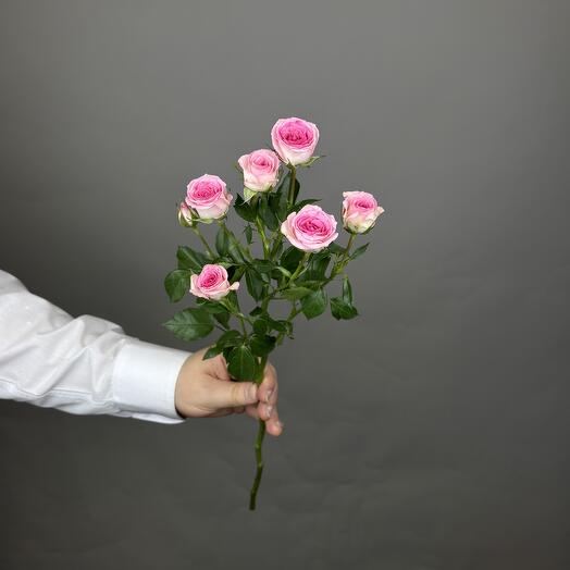 RI FLOWERS