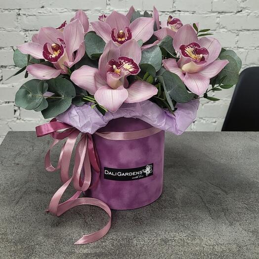 The Orchid composition